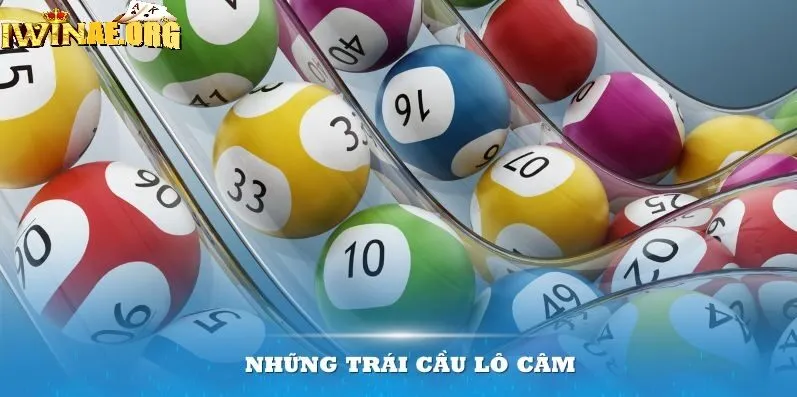 Kinh nghiệm chơi lô câm dành cho người mới cực hiệu quả